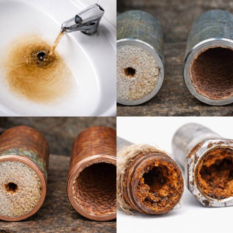 Bild von Professionelle Trinkwasserhygiene für Gebäude und Anlagen